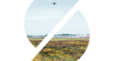 Notre rapport d’activité 2020 est en ligne !