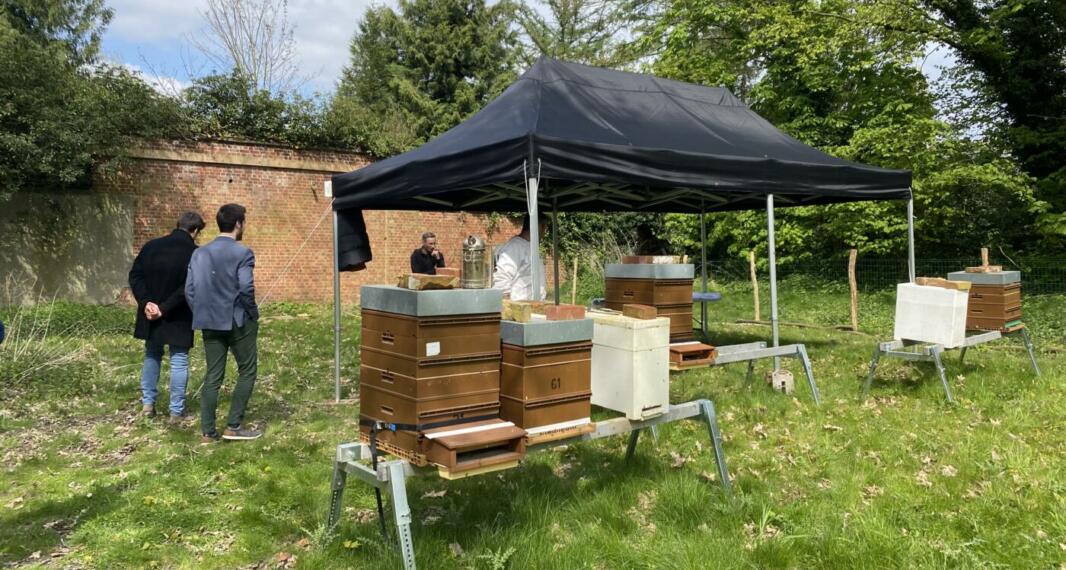 Journée internationale de l’abeille
