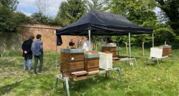 Journée internationale de l’abeille