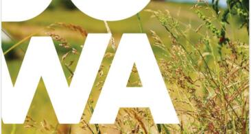 Notre rapport d’activités 2024 est en ligne !