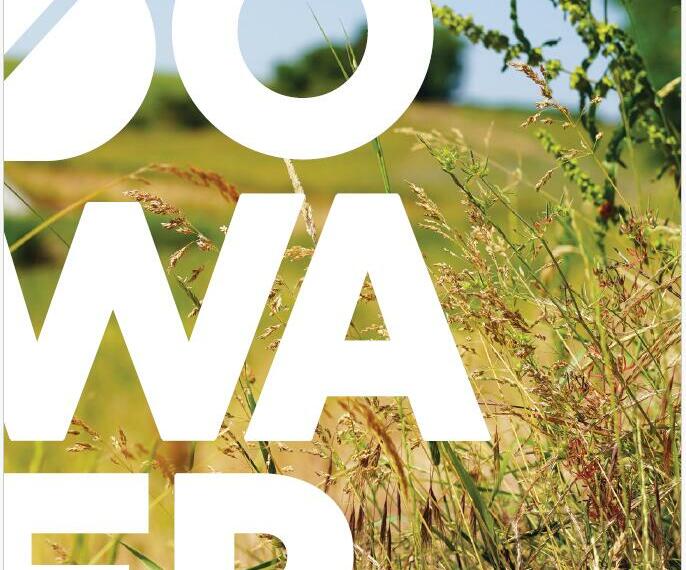 Notre rapport d’activités 2024 est en ligne !