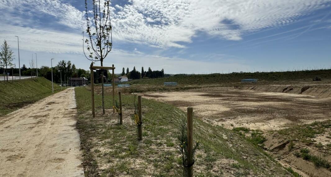 Le corridor écologique : 18 hectares dédiés à la biodiversité autour de l’aéroport de Liège