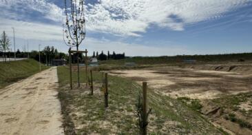 Le corridor écologique : 18 hectares dédiés à la biodiversité autour de l’aéroport de Liège